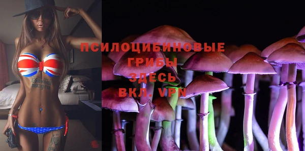 эйфоретик Осинники