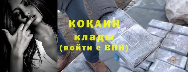эйфоретик Осинники