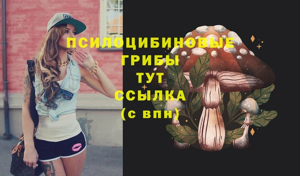 ГАЛЛЮЦИНОГЕННЫЕ ГРИБЫ Нягань