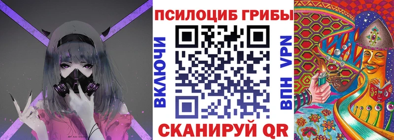Купить  Каменск-Шахтинский  Псилоцибиновые грибы ЛСД 